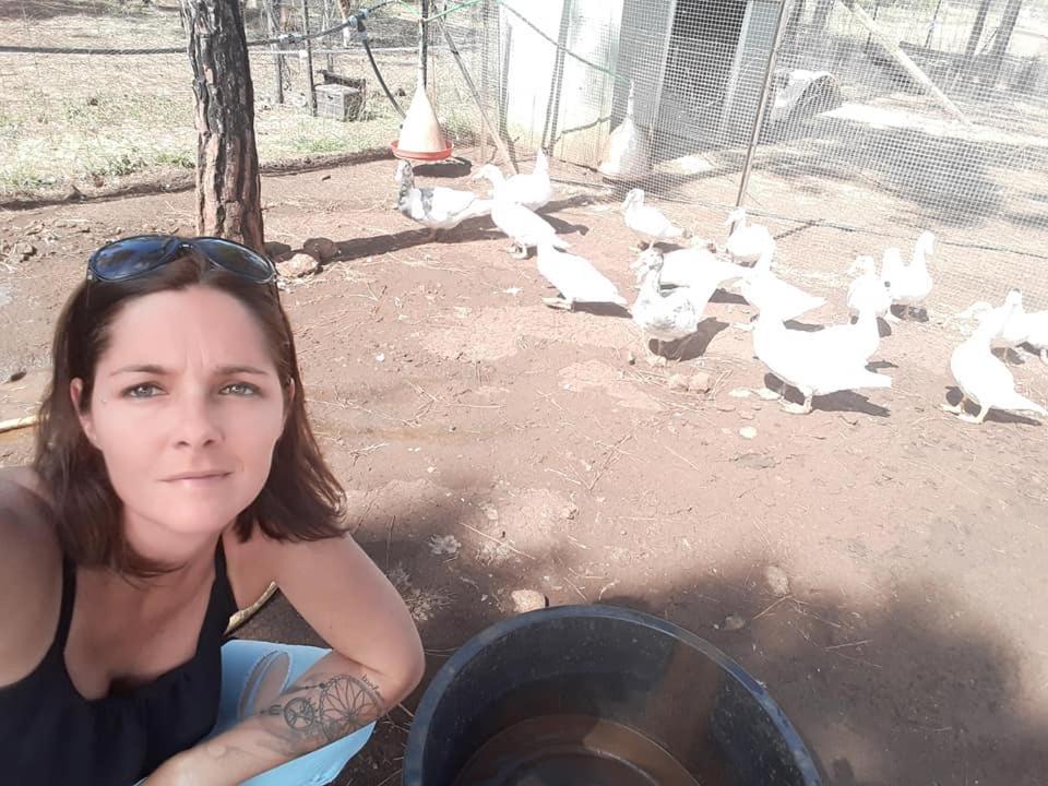 Le Gite Du Koniambo Voh Bagian luar foto