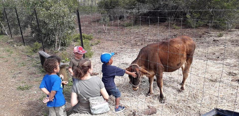 Le Gite Du Koniambo Voh Bagian luar foto